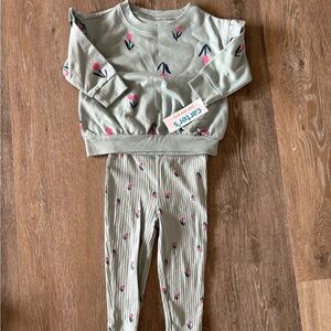 Carter's Green Floral Sweatshirt and Leggings Set